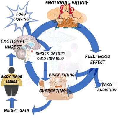 nutrition fact