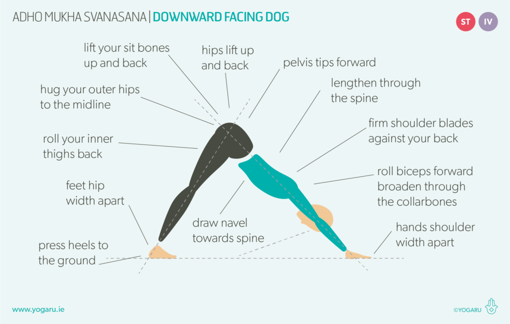 Adho Mukha Svanasana