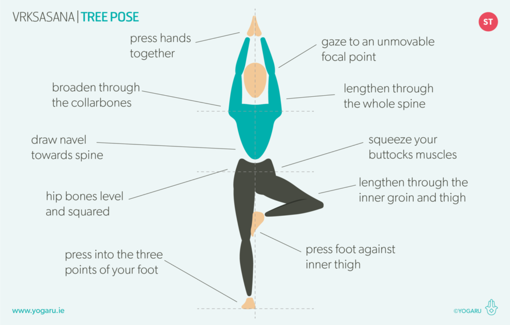 Tree Pose Vrksasana
