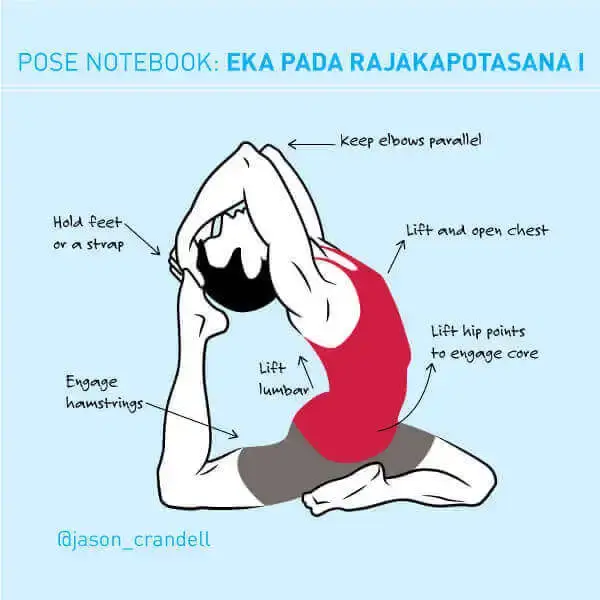 pigoen pose