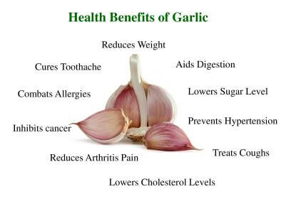 garlic health benefits of garlic 