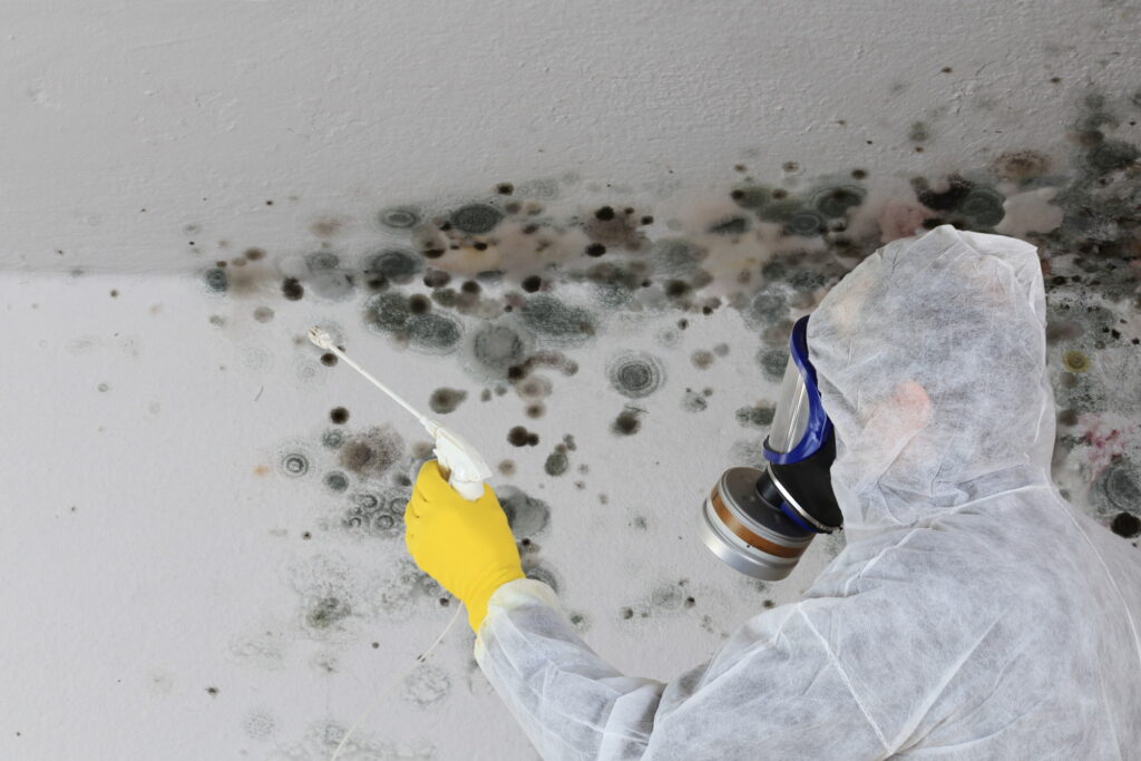 black mold black mold symptoms