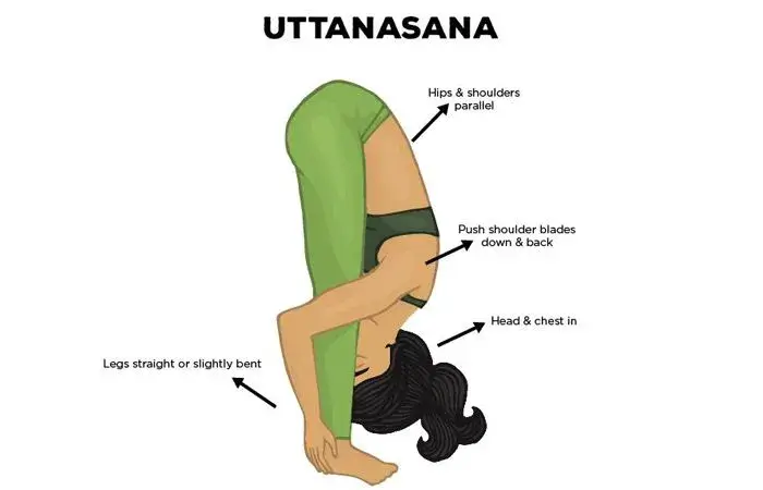 yoga poses Uttanasana