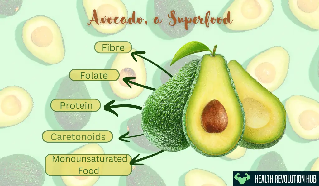 avocado nutrients fiber healthy fats 
